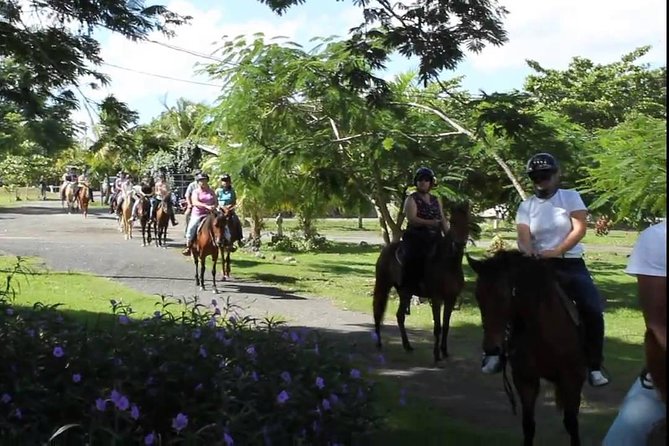 Scenic Horseback Riding Tour from San Juan - Guides Who Shape the Ride