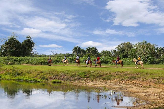 Scenic Horseback Riding Tour from San Juan - Timing and Transportation Problems to Avoid