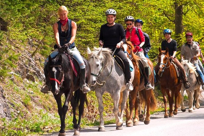Scenic Horseback Riding Tour from San Juan - The First Lesson: Getting Comfortable in the Saddle
