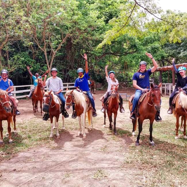 Scenic Horseback Trail - A hill ride with a strong viewpoint payoff
