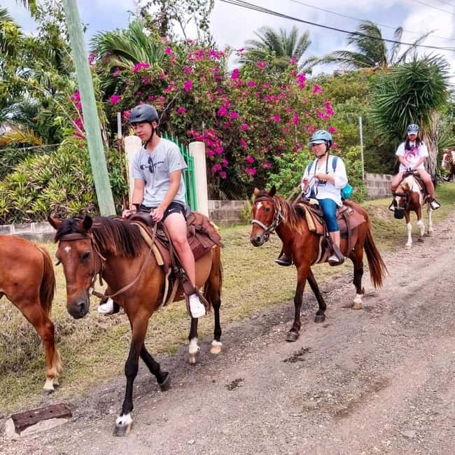 Scenic Horseback Trail - Riding through seasonal fruit and native plants