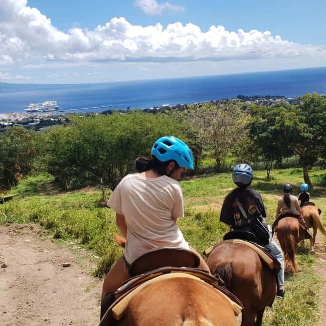 Scenic Horseback Trail - Meeting at Port Zante without guesswork
