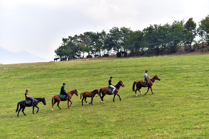 Scenic Trail Rides - Key points to know before booking