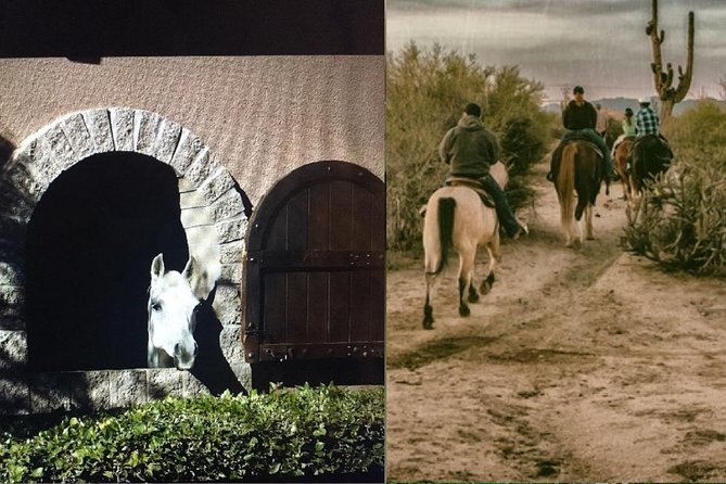 Scottsdale Horseback Riding and Horse Country Estate Tour - Key points at a glance
