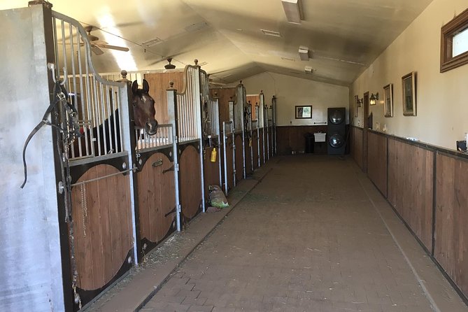 Scottsdale Horseback Riding and Horse Country Estate Tour - A five-hour look at Scottsdale’s horse country