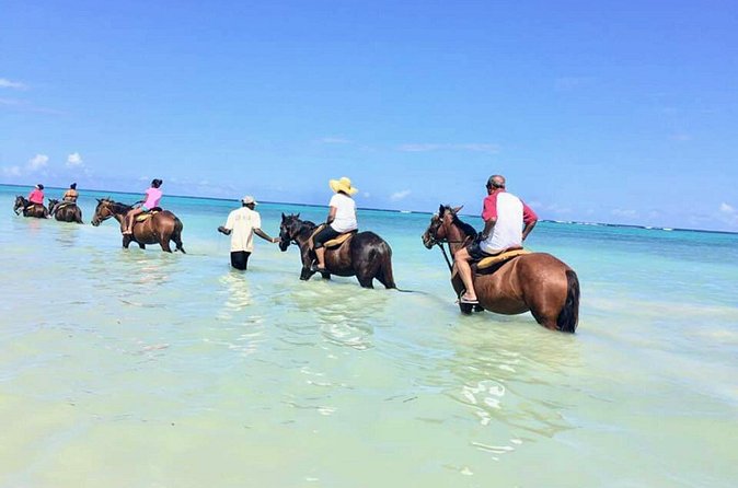 Secret Falls, Blue Hole, and Horseback Riding from Ocho Rios - Pickup, timing, and cruise-ship planning