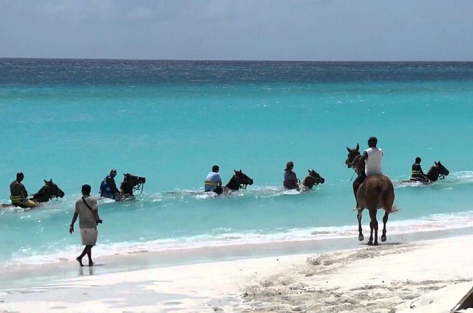 Secret Falls, Blue Hole, and Horseback Riding from Ocho Rios - Service, comfort, and the tipping question