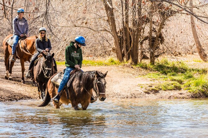 Sedona Horseback Rides At Dead Horse Ranch with River Crossing - What happens during the two-hour ride