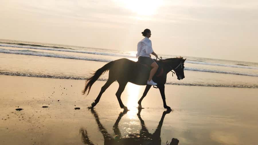 Seminyak: Bali Horse riding Adventure Seminyak Beach - Who should book this ride?