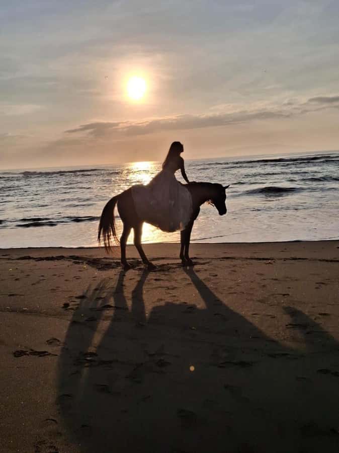 Seminyak: Bali Horse riding Adventure Seminyak Beach - The first 30 minutes: a short taste of Bali on horseback