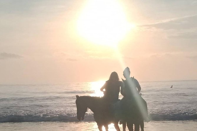 Seminyak Beach Bali Horse Riding - The horses, guide, and pace