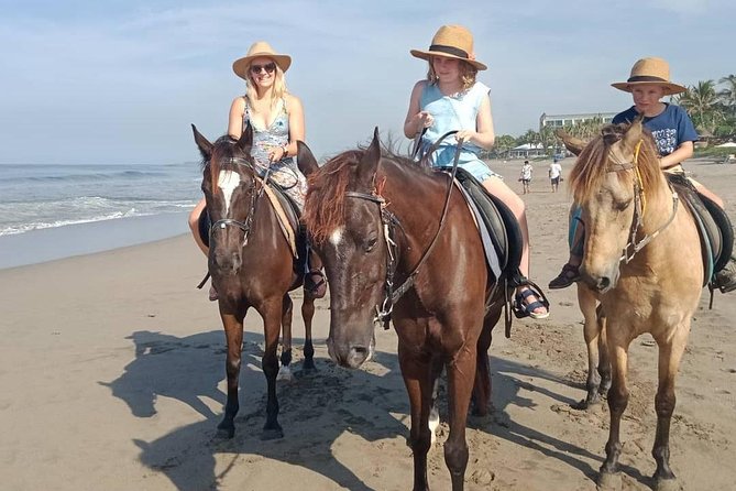 Seminyak Beach Bali Horse Riding - Who should book this ride?