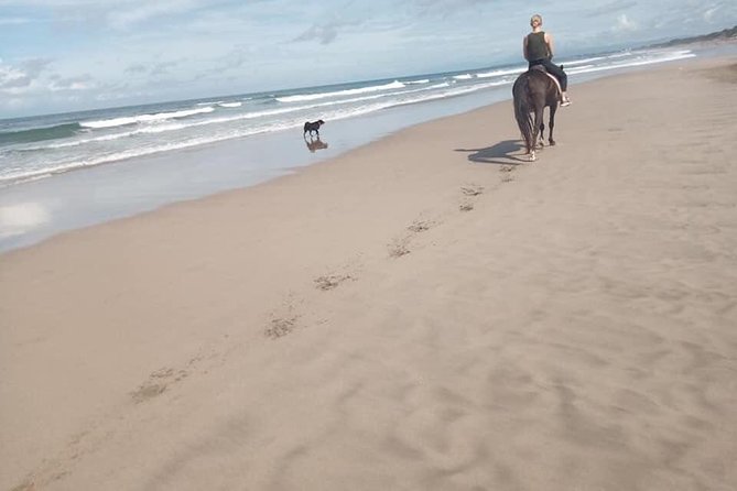 Seminyak Beach Bali Horse Riding - Booking tips that prevent avoidable problems
