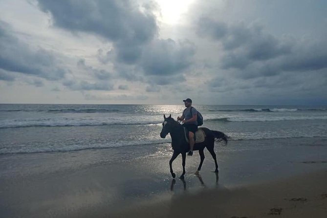 Seminyak Beach Bali Horse Riding - Why the sunset ride is worth considering