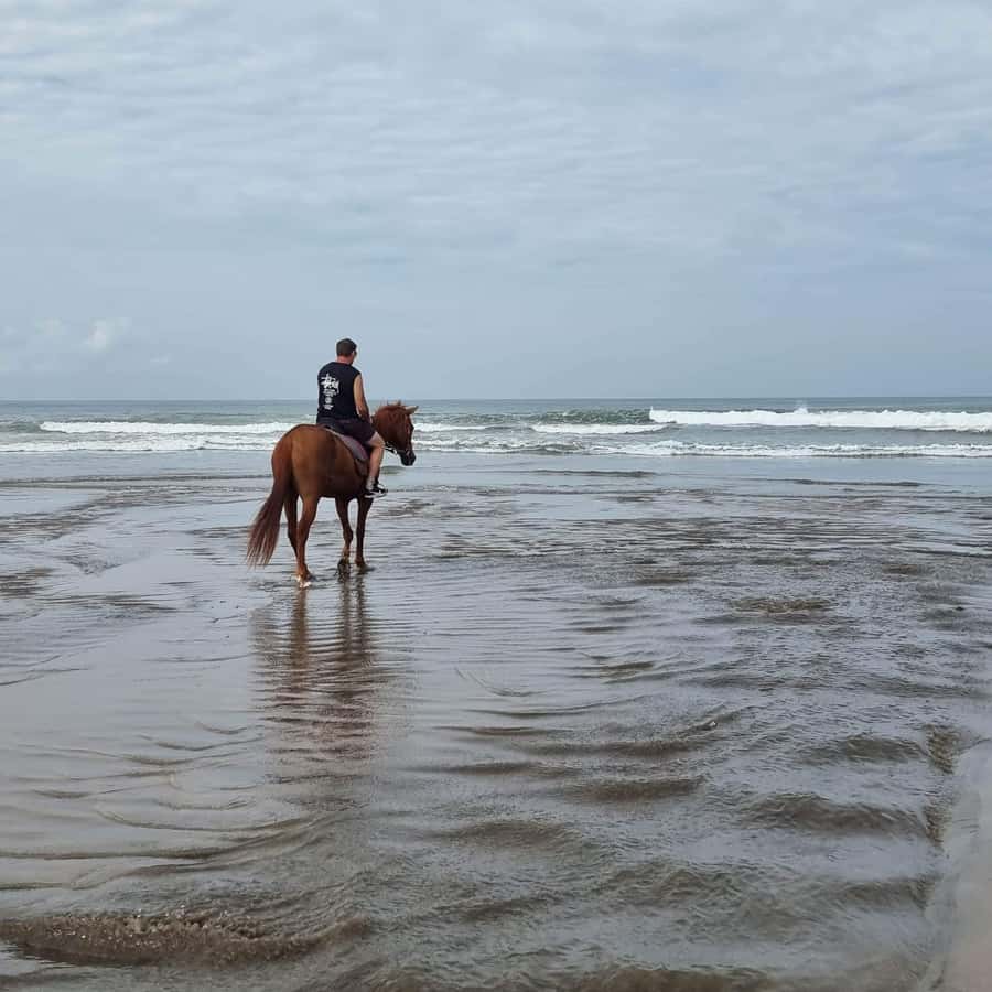 Seminyak Beach Horse Riding Experience - The one-hour route along Legian and Seminyak