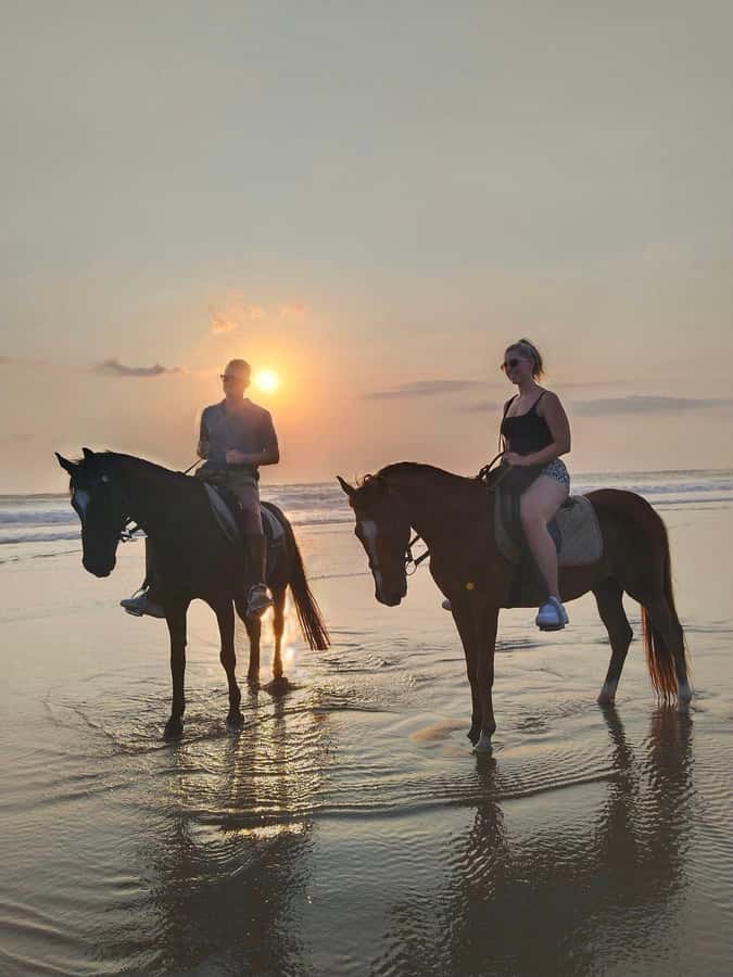 Seminyak Beach Horse Riding Experience - How to prepare for a better ride