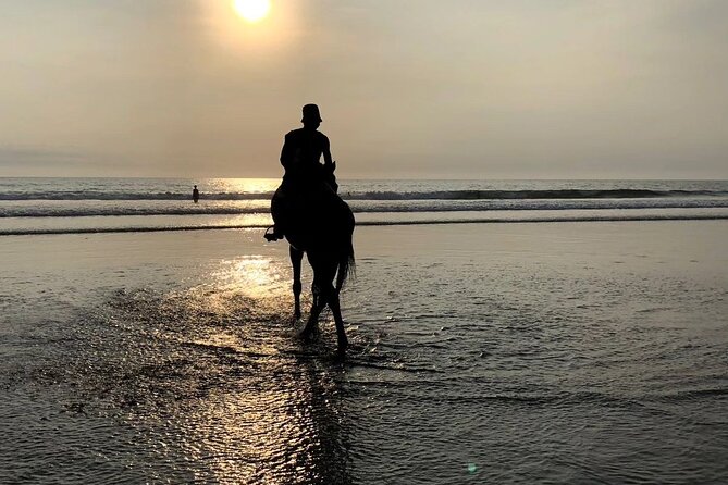 Seminyak Horse back riding In the beach - A private outing, with a few trade-offs
