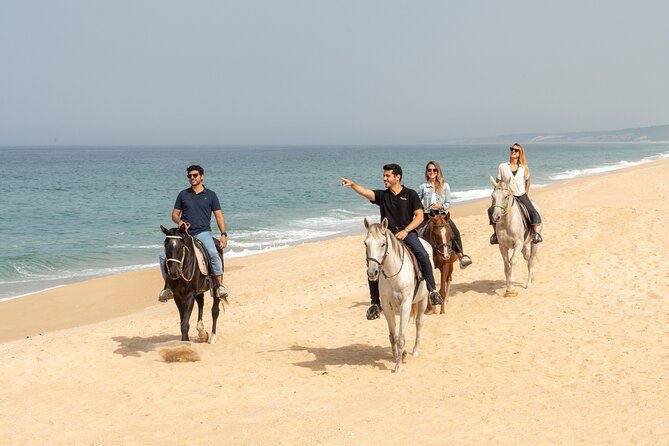 Setubal & Comporta Trip with Horseback Riding from Lisbon - Setúbal, a quick taste of Portugal’s seafood coast
