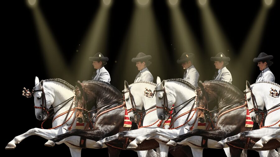 Seville: Horse's Show Entry Ticket. Optional Stud Farm Visit - The Traditions show as the finale