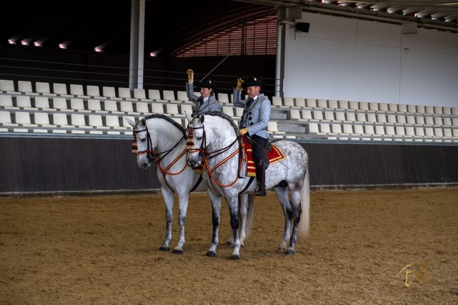 Seville: Horse's Show Entry Ticket. Optional Stud Farm Visit - Getting there from Seville