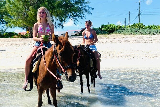 Shared Horseback Riding in Turks and Caicos - A beach ride with a practical family focus