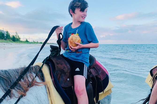 Shared Horseback Riding in Turks and Caicos - Is $210 a fair price?