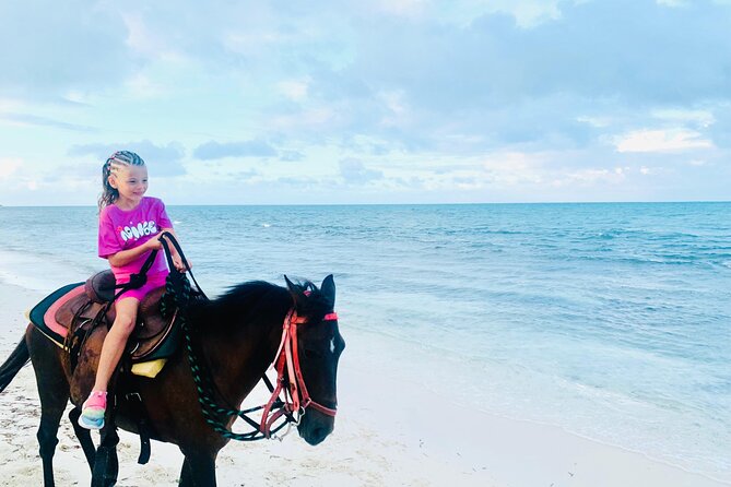 Shared Horseback Riding in Turks and Caicos - Who will enjoy this most