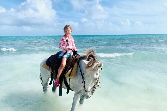 Shared Horseback Riding in Turks and Caicos - Pickup from your accommodation saves time