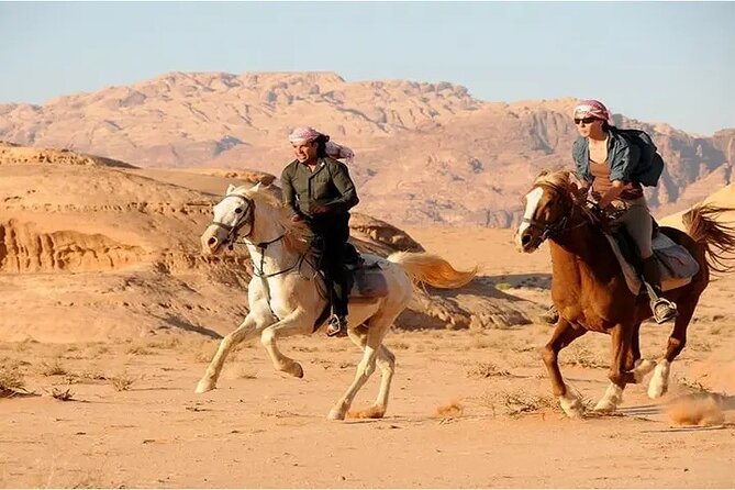 Sharm El-Sheikh: 2-Hour Horse Ride Along Beach & Desert Trails - Getting comfortable in the saddle