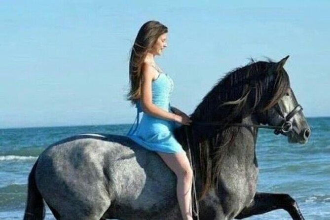 Sharm El-Sheikh: 2-Hour Horse Ride Along Beach & Desert Trails - Reaching the Red Sea beach