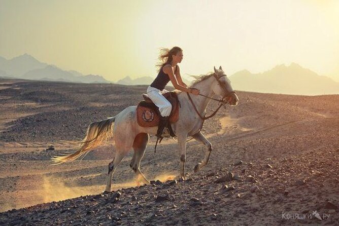 Sharm El-Sheikh: 2-Hour Horse Ride Along Beach & Desert Trails - Sunrise, morning, or sunset?