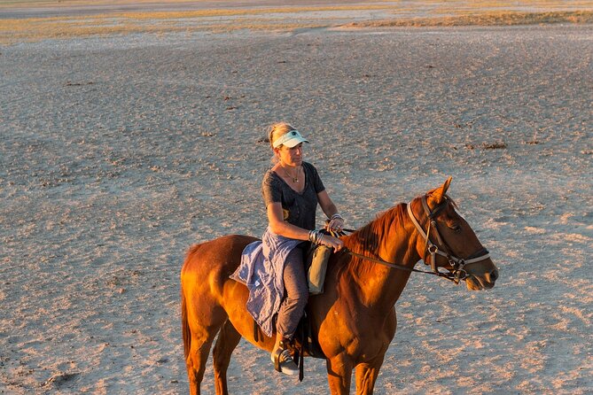 Sharm El-Sheikh: 2-Hour Horse Ride Along Beach & Desert Trails - What the $40 price really covers