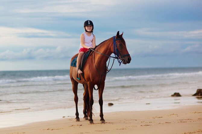 Sharm El Sheikh Horseback Riding with Pickup and Drop-off - Desert or beach: picking the right ride