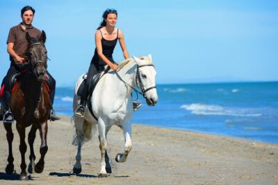 Sharm El Sheikh Horseback Riding with Pickup and Drop-off