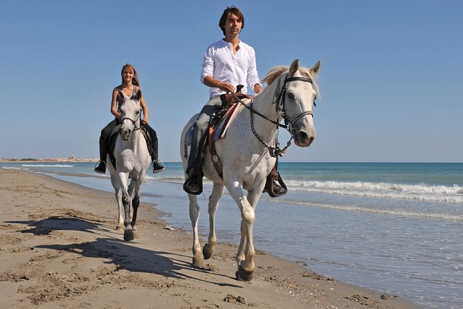 Sharm El Sheikh Horseback Riding with Pickup and Drop-off - What beginners can expect