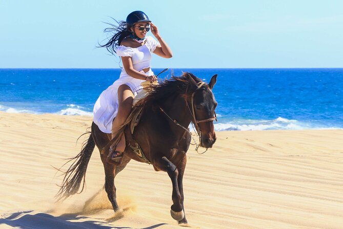 Sharm El Sheikh Horseback Riding with Pickup and Drop-off - What the price really gives you