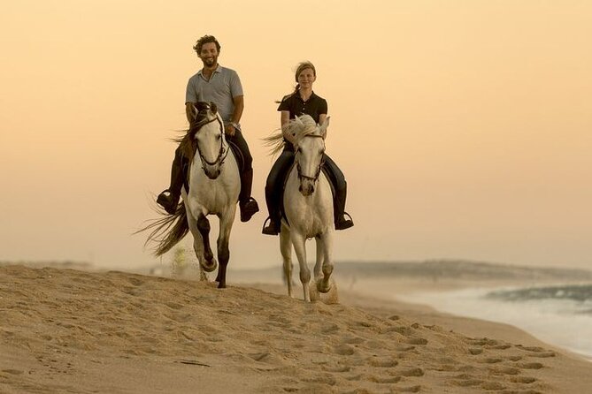 Sharm El Sheikh Horseback Riding with Pickup and Drop-off - Who should book this ride