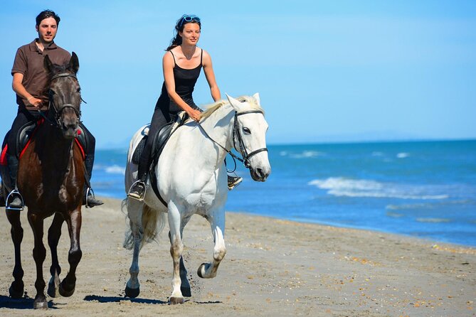 Sharm El Sheikh Horseback Riding with Pickup and Drop-off - Choosing one hour or two