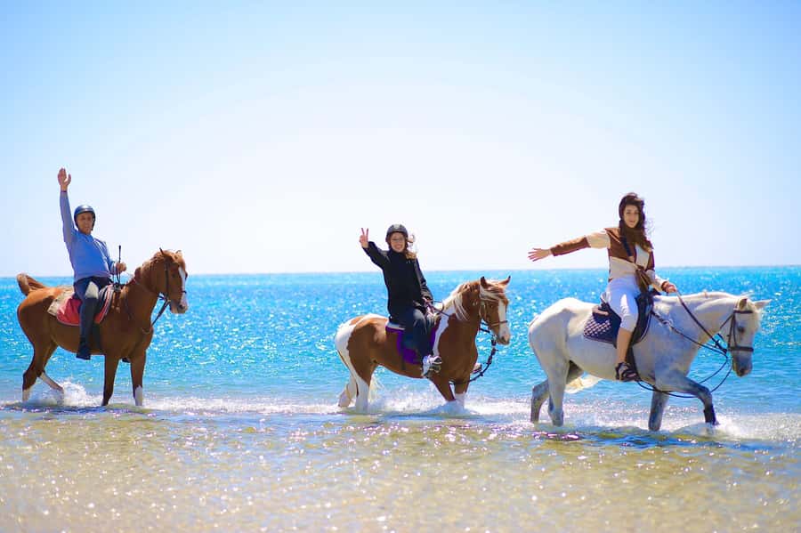 Sharm El Shiekh: Beach and City Desert Horse Riding Tour - Key points to know before you book