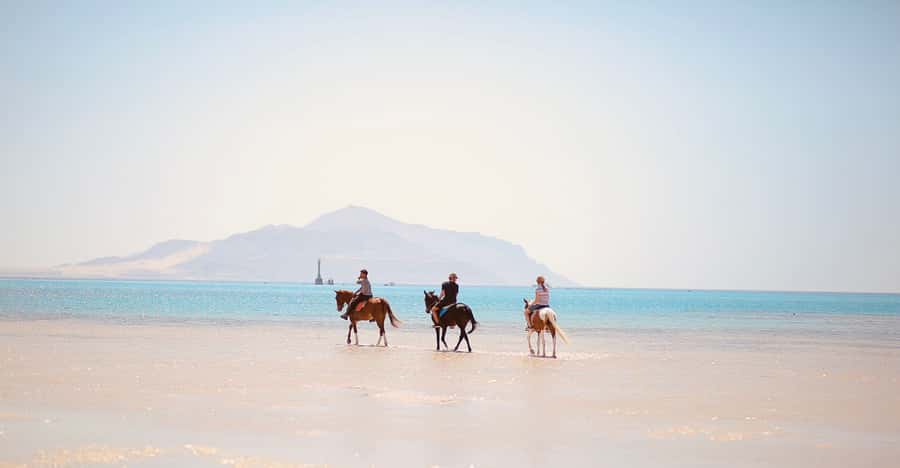 Sharm El Shiekh: Beach and City Desert Horse Riding Tour - FAQ