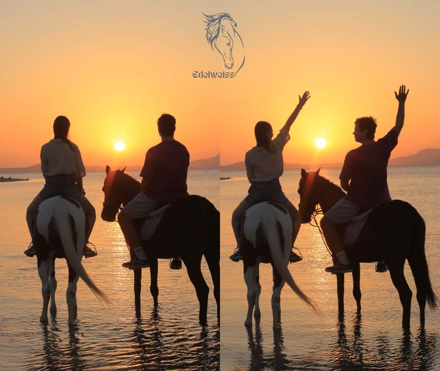 Sharm El Shiekh: Beach and City Desert Horse Riding Tour - Reaching the Red Sea beach