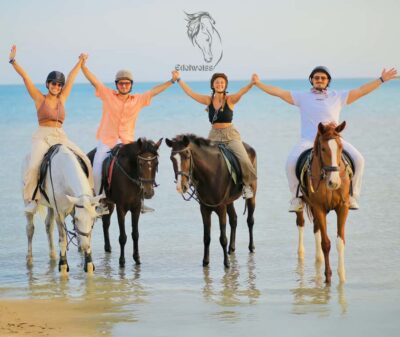 Sharm El Shiekh: Beach and City Desert Horse Riding Tour