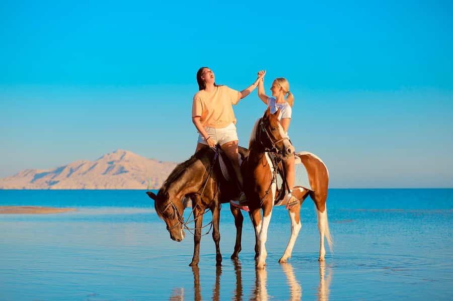 Sharm El Shiekh: Beach and City Desert Horse Riding Tour - Sunrise, morning, or sunset?