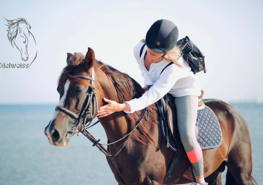 Sharm El Shiekh: Beach and City Desert Horse Riding Tour - Should you book the Edelweiss beach ride?