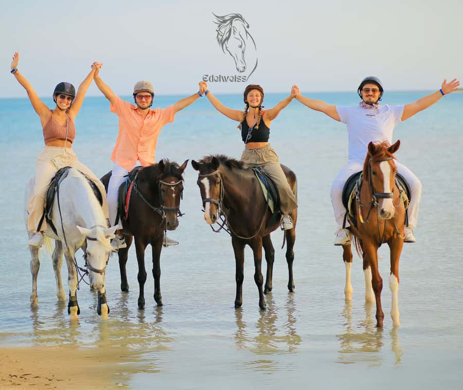Sharm El Shiekh: Beach and City Desert Horse Riding Tour - Learning to ride, from a lead rope to a canter