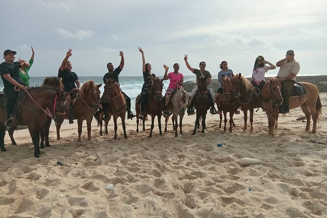 Shore Excursion Aruba’s Ecological and Beach Horseback Riding - From the Aruba Cruise Terminal to El Paseo Ranch