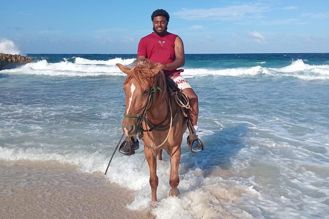 Shore Excursion Aruba’s Ecological and Beach Horseback Riding - Why the Horses Matter as Much as the Views