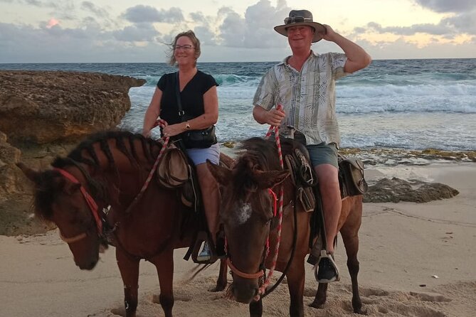 Shore Excursion Aruba’s Ecological and Beach Horseback Riding - What the $95 Price Buys You