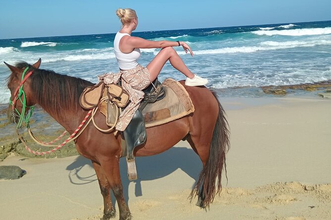 Shore Excursion Aruba’s Ecological and Beach Horseback Riding - Who Will Enjoy This Ride Most