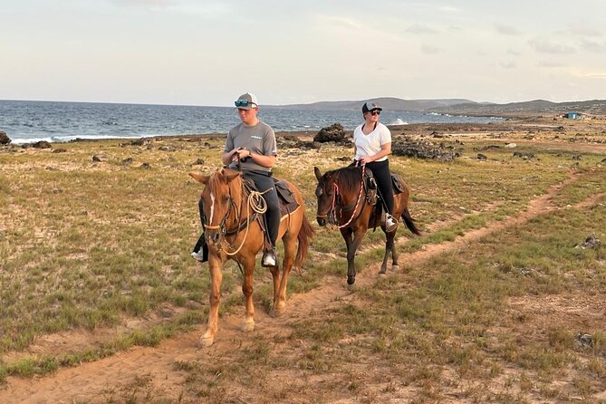 Shore Excursion Aruba’s Ecological and Beach Horseback Riding - Should You Book the Aruba Ecological and Beach Ride?